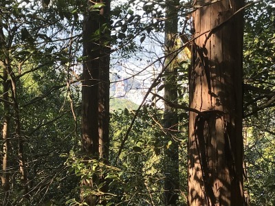f0308898_19271634.jpg