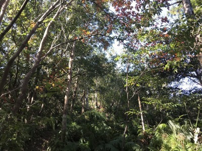 f0308898_19280986.jpg