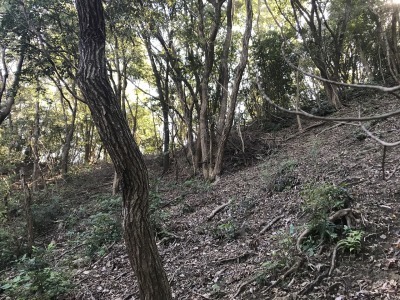 f0308898_19301044.jpg