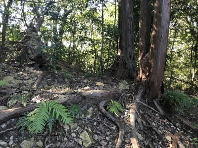 f0308898_19305526.jpg