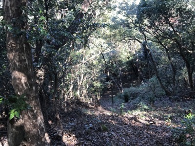 f0308898_19310626.jpg