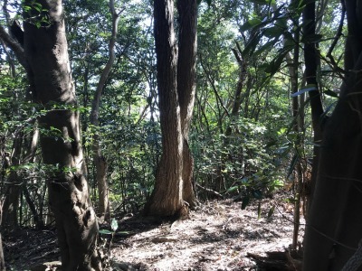 f0308898_19311624.jpg