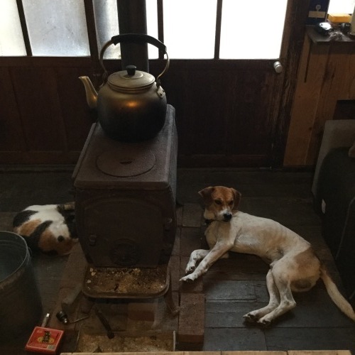 b0195100_16455689.jpeg
