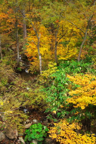 a0263109_14475936.jpg