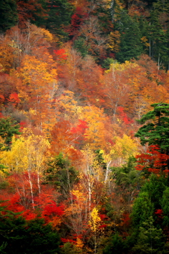 a0263109_14482662.jpg