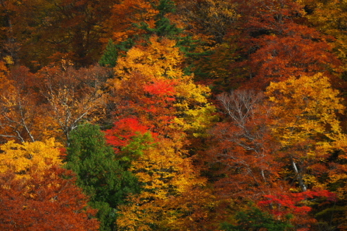a0263109_14502774.jpg