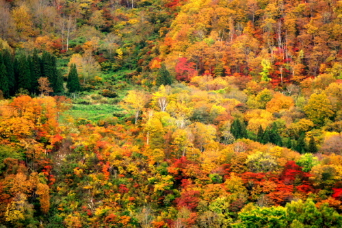 a0263109_14531641.jpg