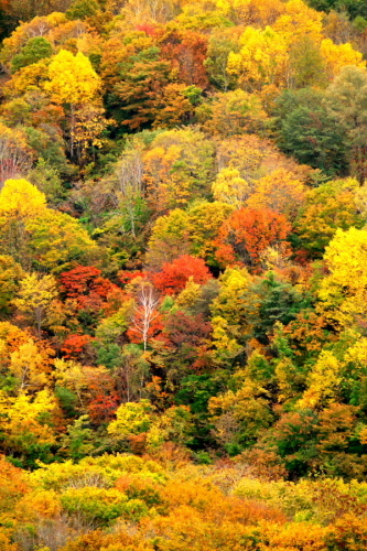 a0263109_14531661.jpg