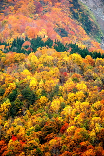 a0263109_14535777.jpg