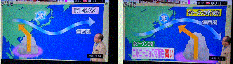 f0231709_12153631.gif