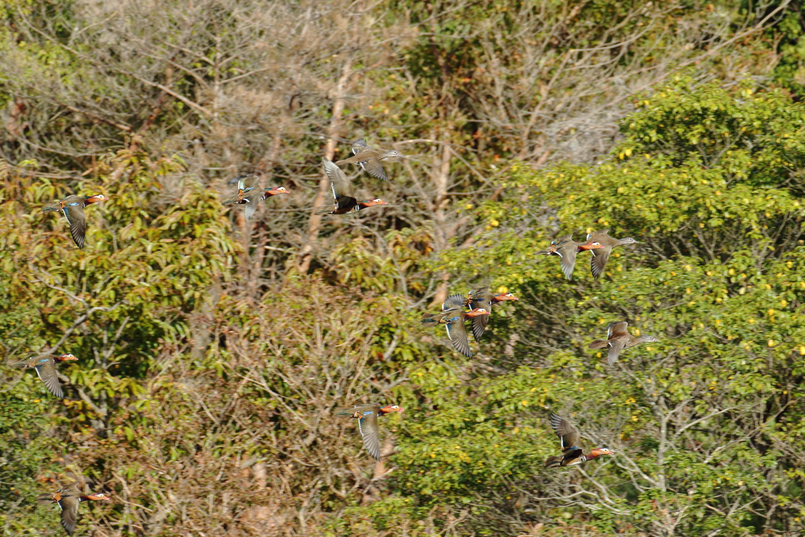 f0349409_10435001.jpg