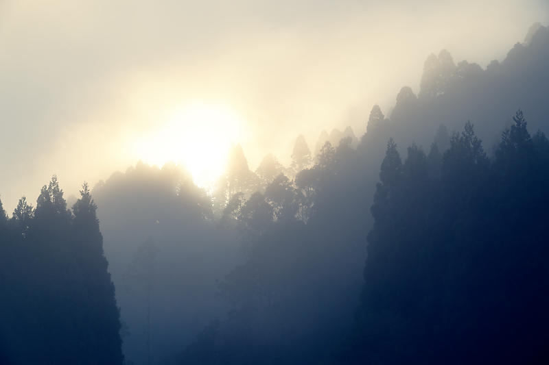山里の霧と紅葉_f0032011_19562221.jpg