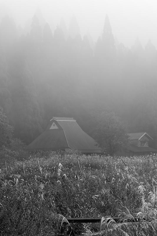 山里の霧と紅葉_f0032011_19562253.jpg