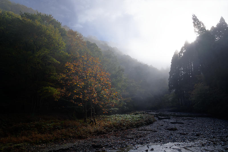 山里の霧と紅葉_f0032011_19562346.jpg