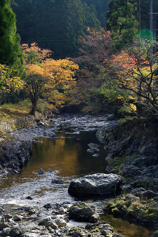 山里の霧と紅葉_f0032011_19583289.jpg