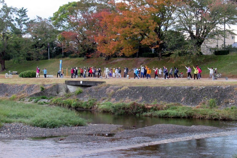 桜の紅葉がピーク_e0048413_20324894.jpg
