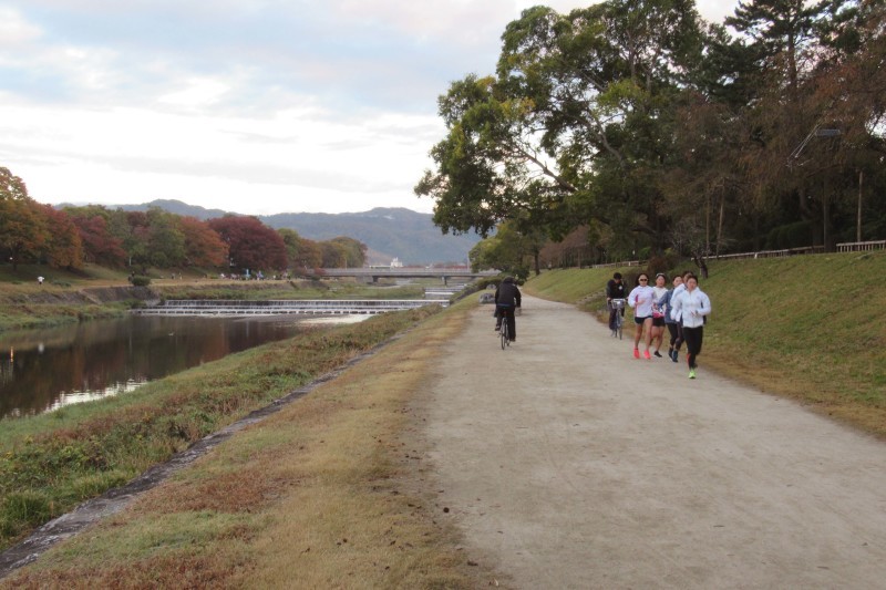 桜の紅葉がピーク_e0048413_20325756.jpg
