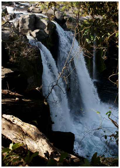 b0037717_23150552.jpg