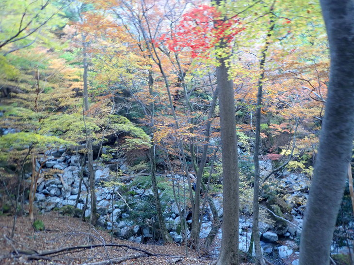 f0193521_5325827.jpg