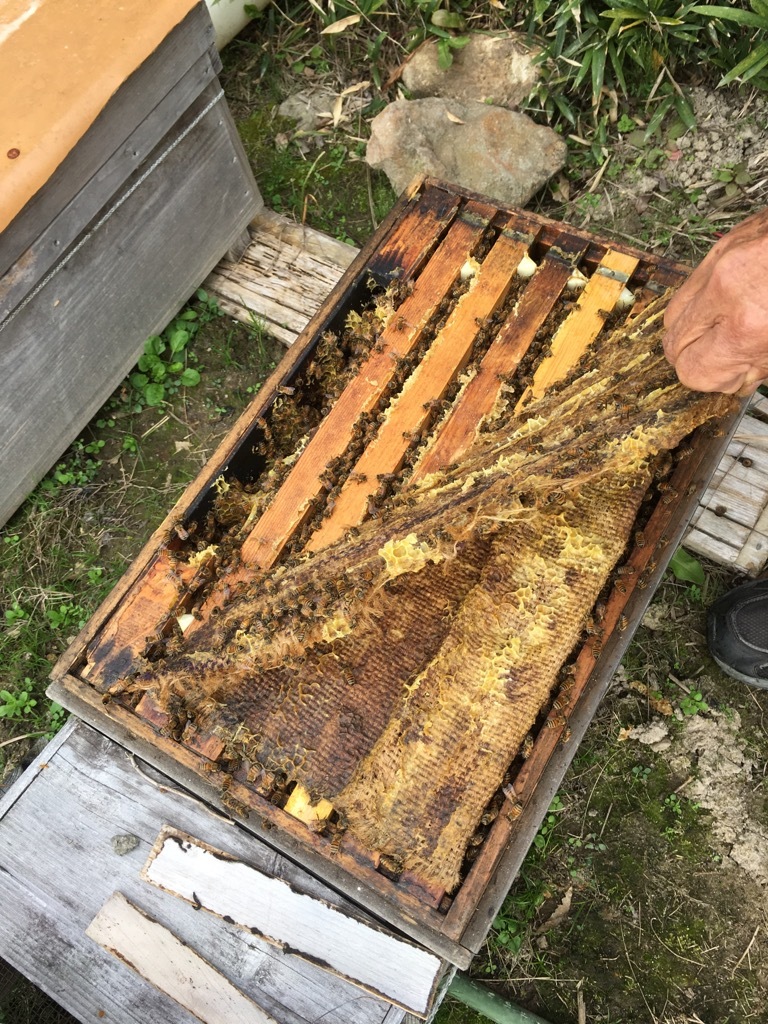 c0212823_20401867.jpg