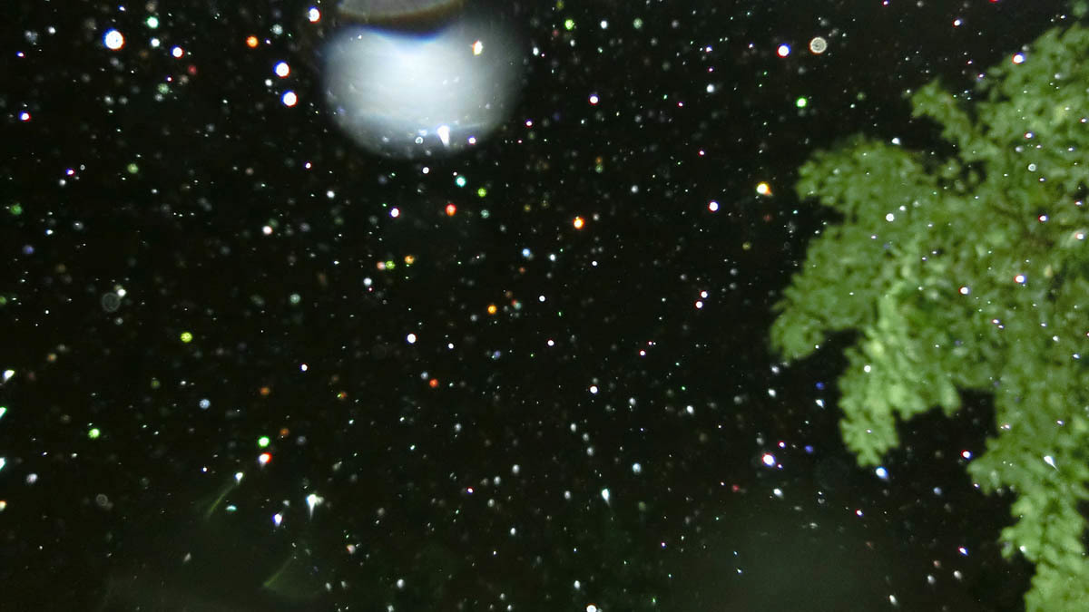 c0331825_06512266.jpg