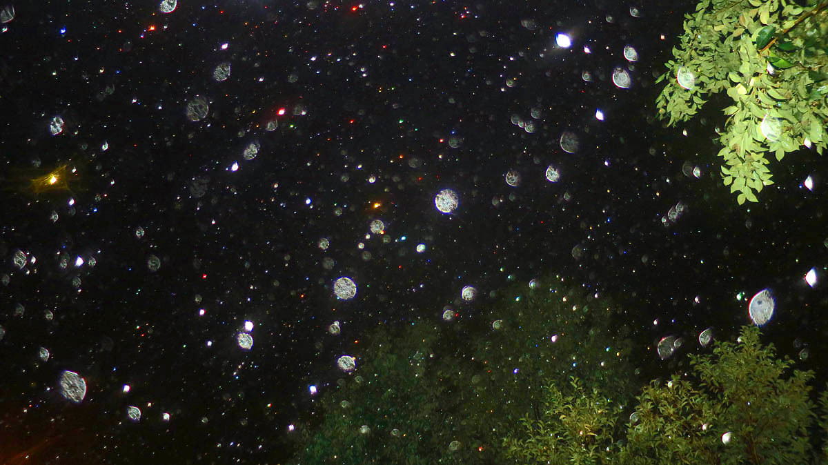 c0331825_07255243.jpg