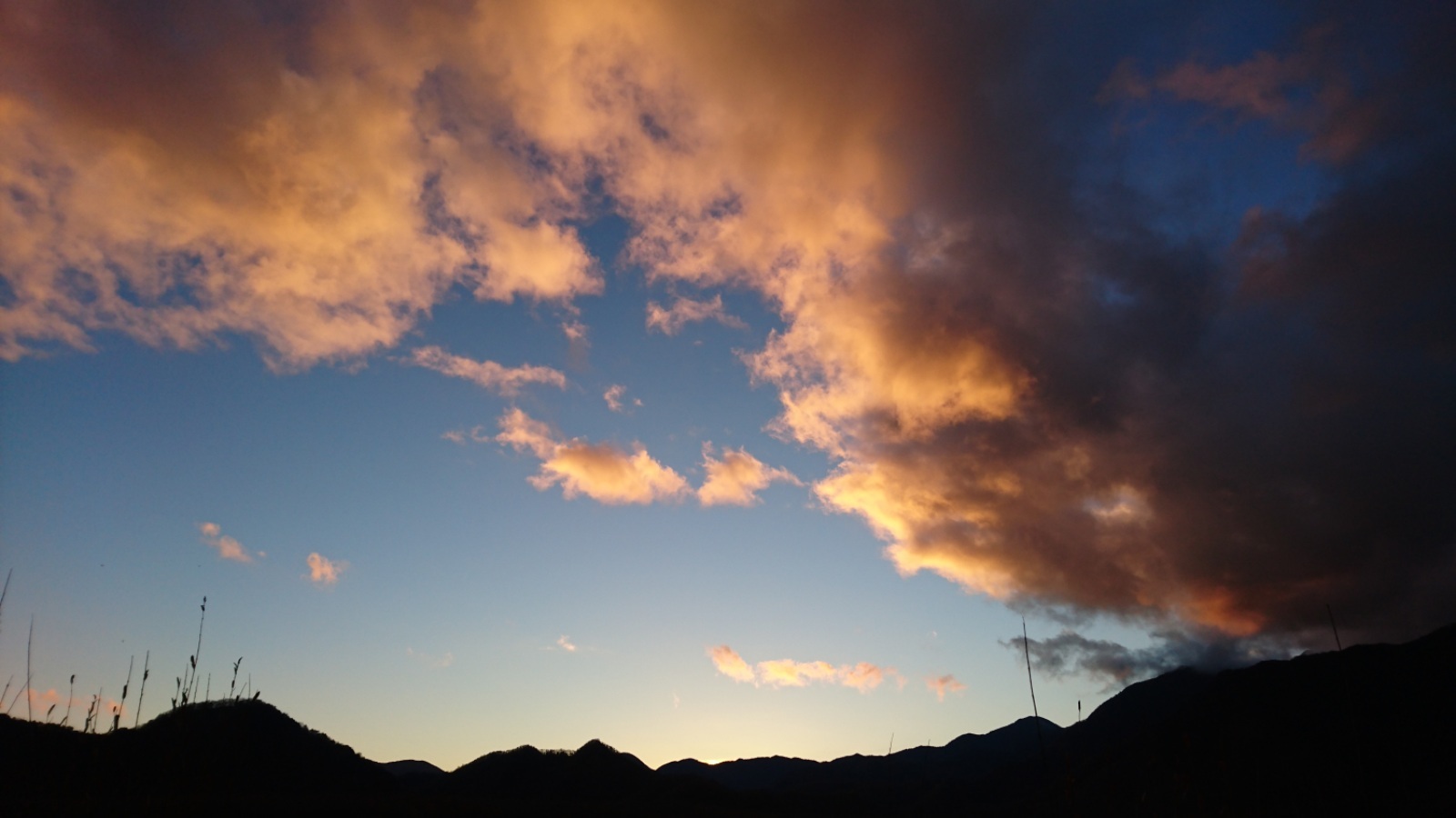 d0372528_00062325.jpg