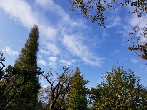 e0016828_11033434.jpg