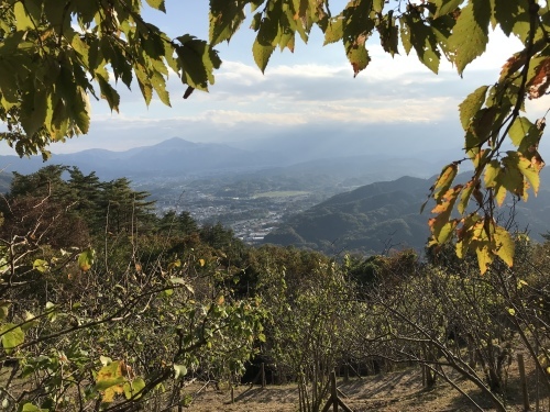b0132630_12480245.jpeg