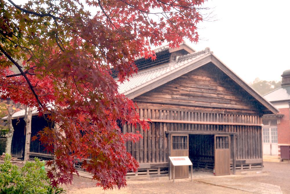 色付き始める明治村_e0373930_21183202.jpg