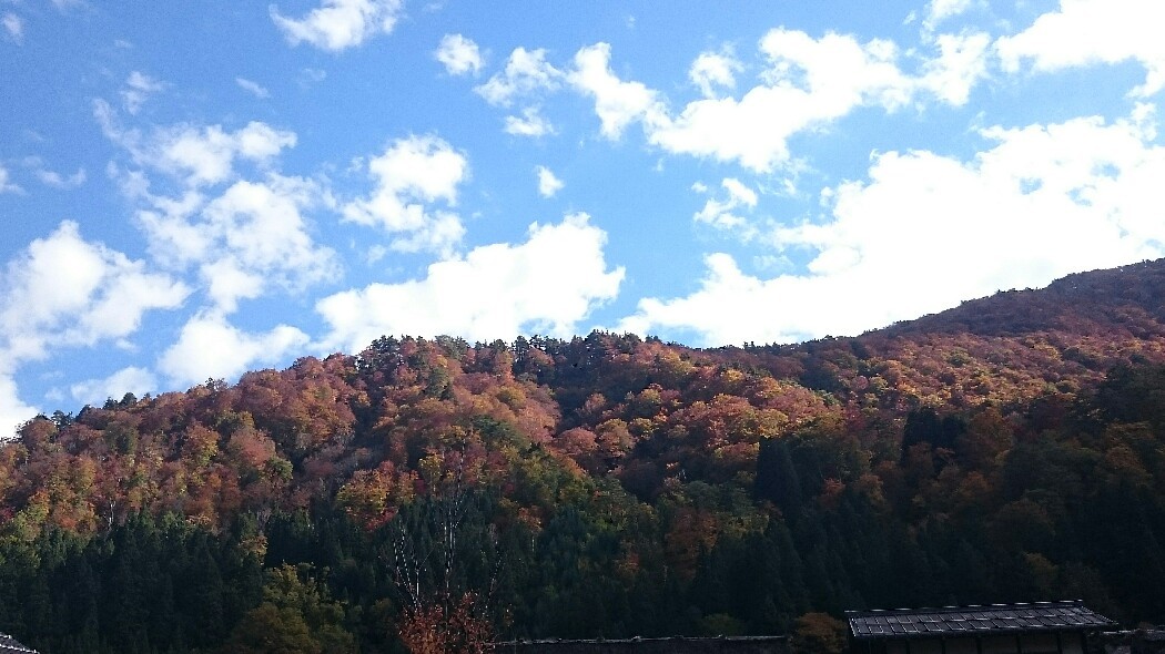 穏やかな秋の空_e0382830_16202608.jpg