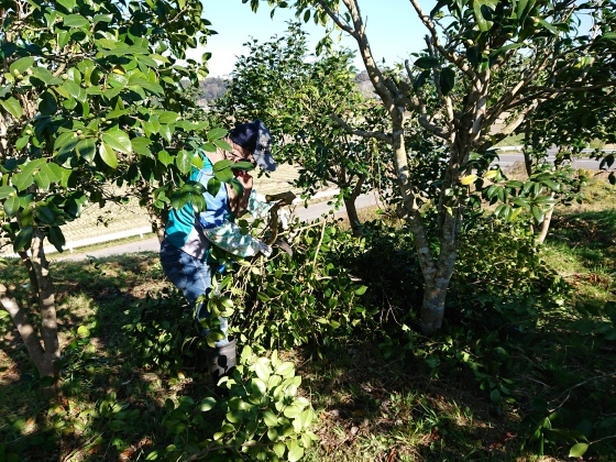 f0118332_14264324.jpg