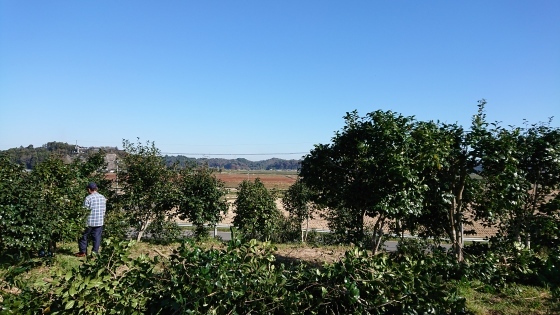 f0118332_14270462.jpg