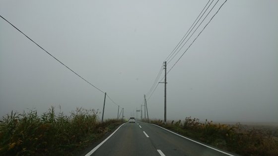 f0118332_14582441.jpg