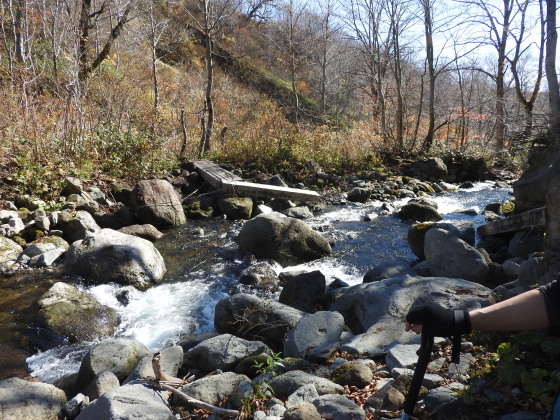 f0118332_14592010.jpg
