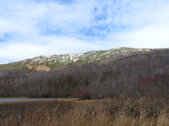 f0118332_15020671.jpg