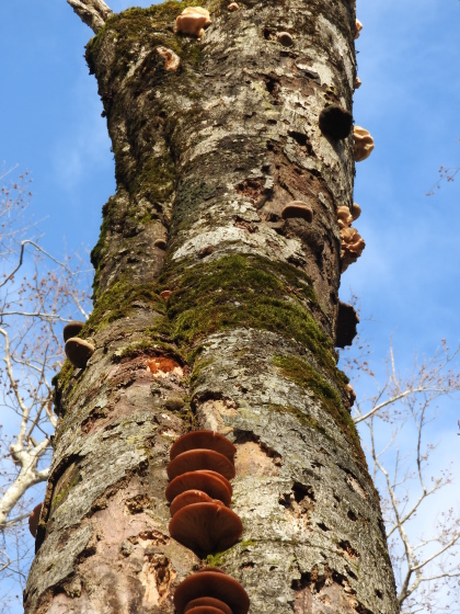 f0118332_15042218.jpg