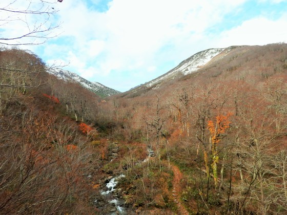 f0118332_15051015.jpg