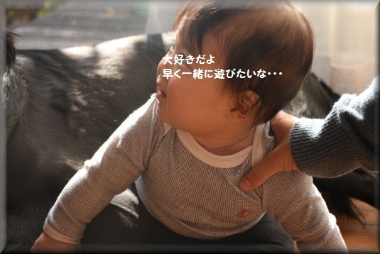 f0363141_10505597.jpg