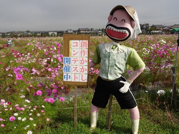亀岡 夢コスモス園の 創作かかしコンテスト 彩の気まぐれ写真 亀岡 夢コスモス園の 創作かかしコンテスト 彩の気まぐれ写真