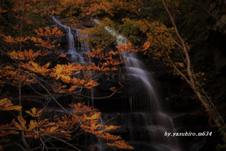 奥入瀬渓流「九段の滝」3_b0343543_16210502.jpg