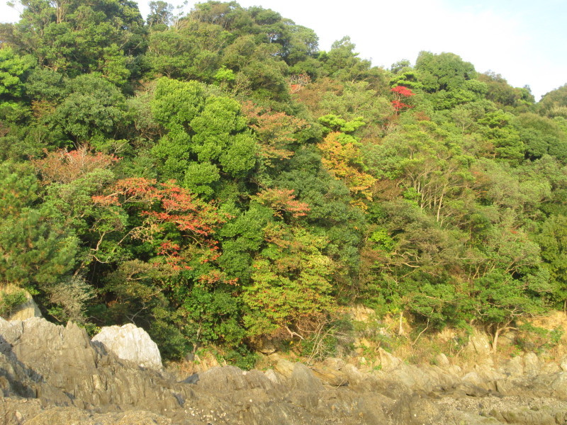 c0306845_17091562.jpg