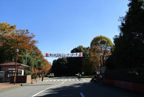 b0220251_13330652.jpg