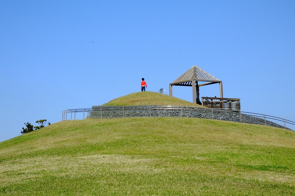 鹿島灘海浜公園でジョビ君に出会う。_b0236251_11235093.jpg