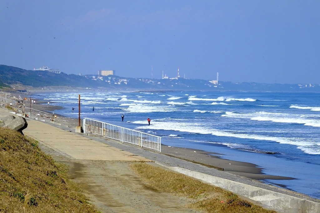 鹿島灘海浜公園でジョビ君に出会う。_b0236251_11333543.jpg