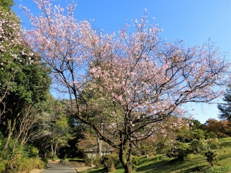 b0279153_15443396.jpg