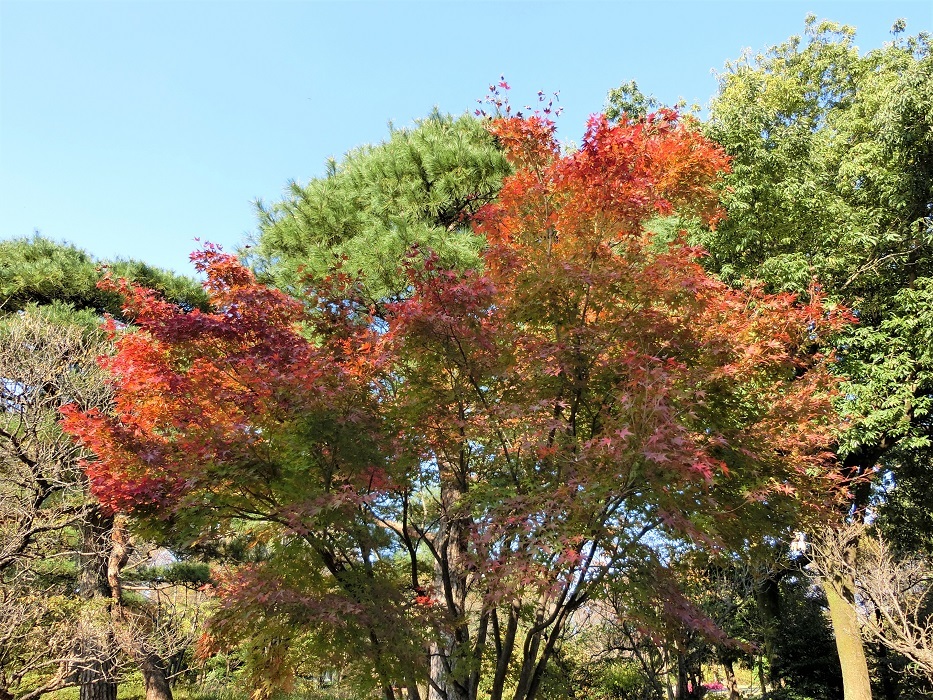 b0279153_15450634.jpg