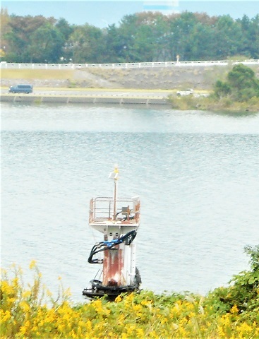 20181023長良川河口堰県民調査団_f0197754_01195814.jpg
