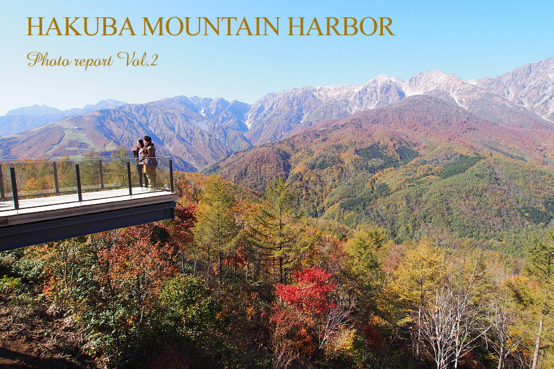 三段紅葉photo 白馬マウンテンハーバー Hakuba Mountain Harbor Samのlifeキャンプブログ Doors In Out