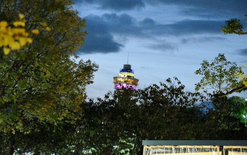 a0355356_23045071.jpg